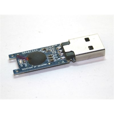 Uncased USB memory stick (4GB)