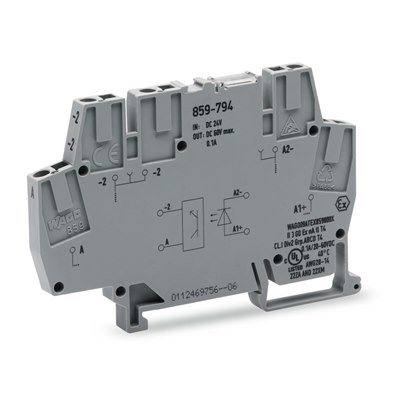 WAGO Optocoupler module; 24VDC; Output 9 to 60VDC