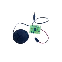 MP3 Mono Amplifier Kit