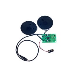 MP3 Stereo Amplifier Kit