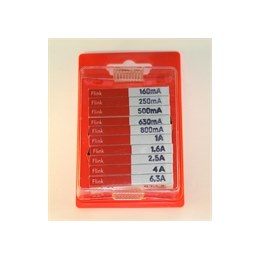 ESKA 20x5mm Fuse Selection- 100 assorted