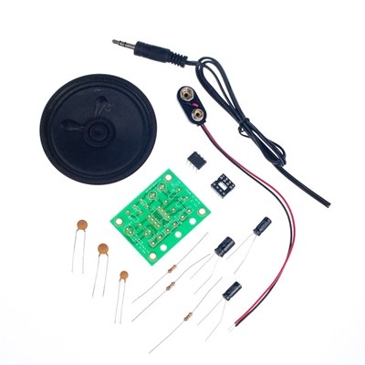 Mono MP3 amplifier kit