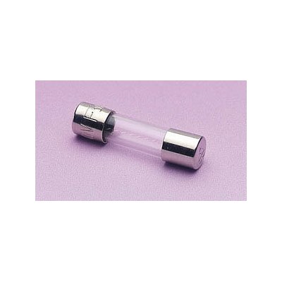 20mm Quickblow Fuse 250mA